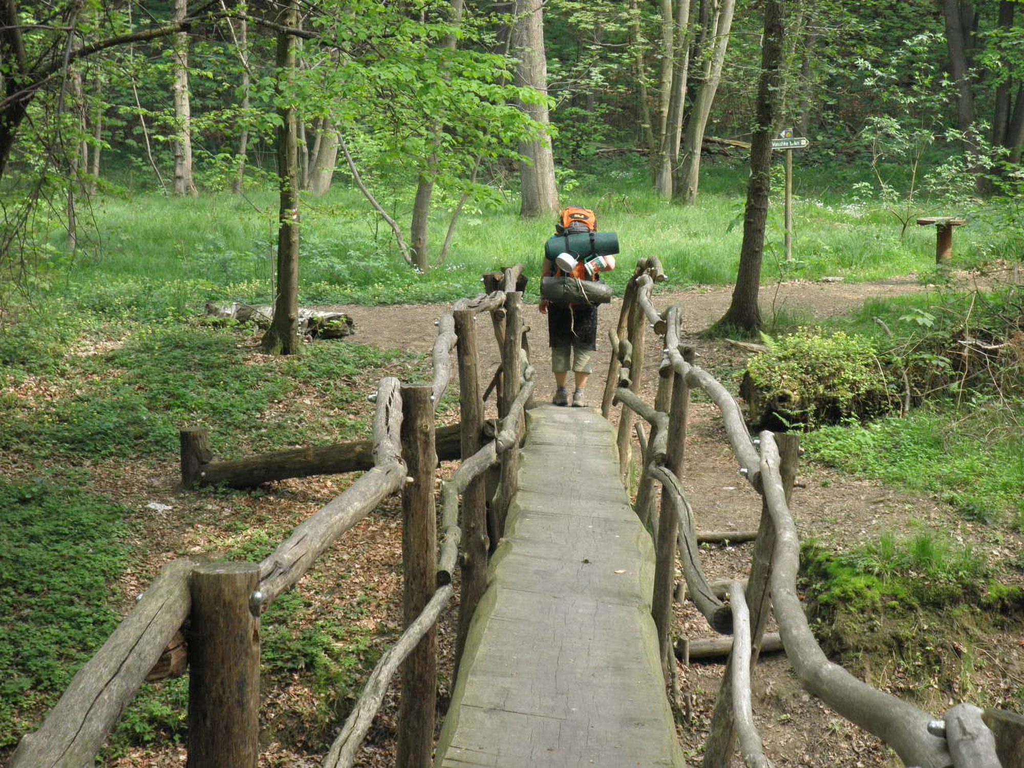 Ein Wanderer mit Rucksack geht über eine Holzbrücke in den Frühlingswald
