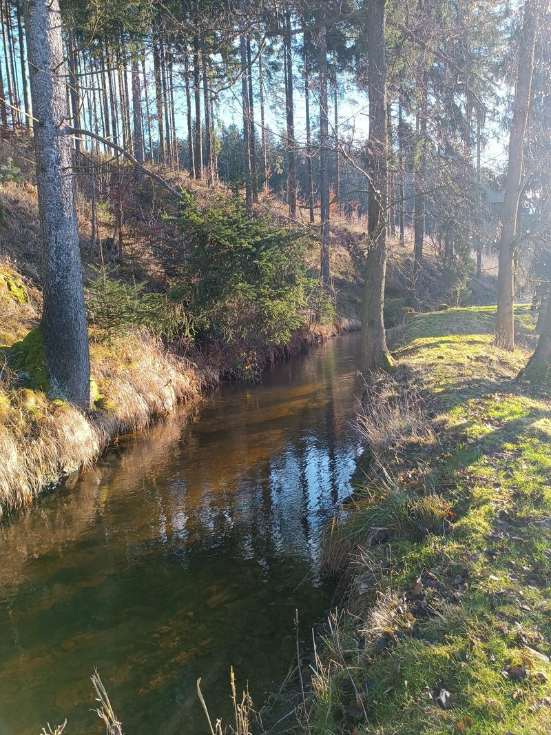 Ein Bach fließt durch ein bewaldetes Tal