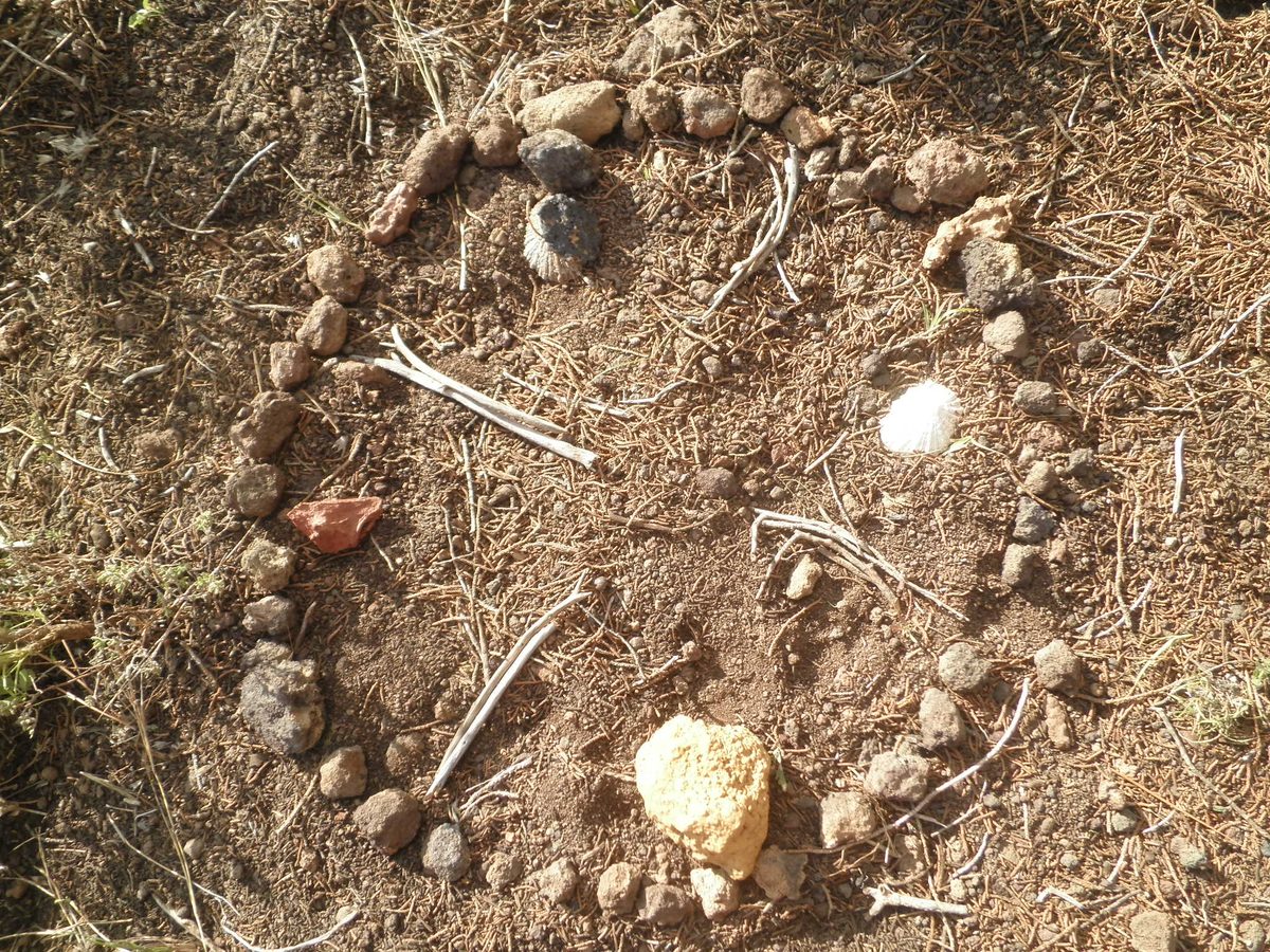 Ein aus Steinen gelegter Kreis auf dem Waldboden